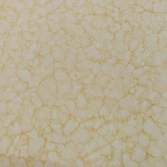 XS08